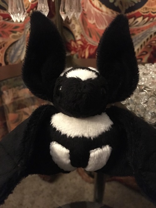 Someone commissioned me to make a “badger bat”, aka a pied bat. ☺️ I really like him, the appliqué t