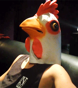 vegemiteash:   lukechemmings-deactivated201410:  @5SOS: Gangsta chicken  how many animal costumes does this band own  