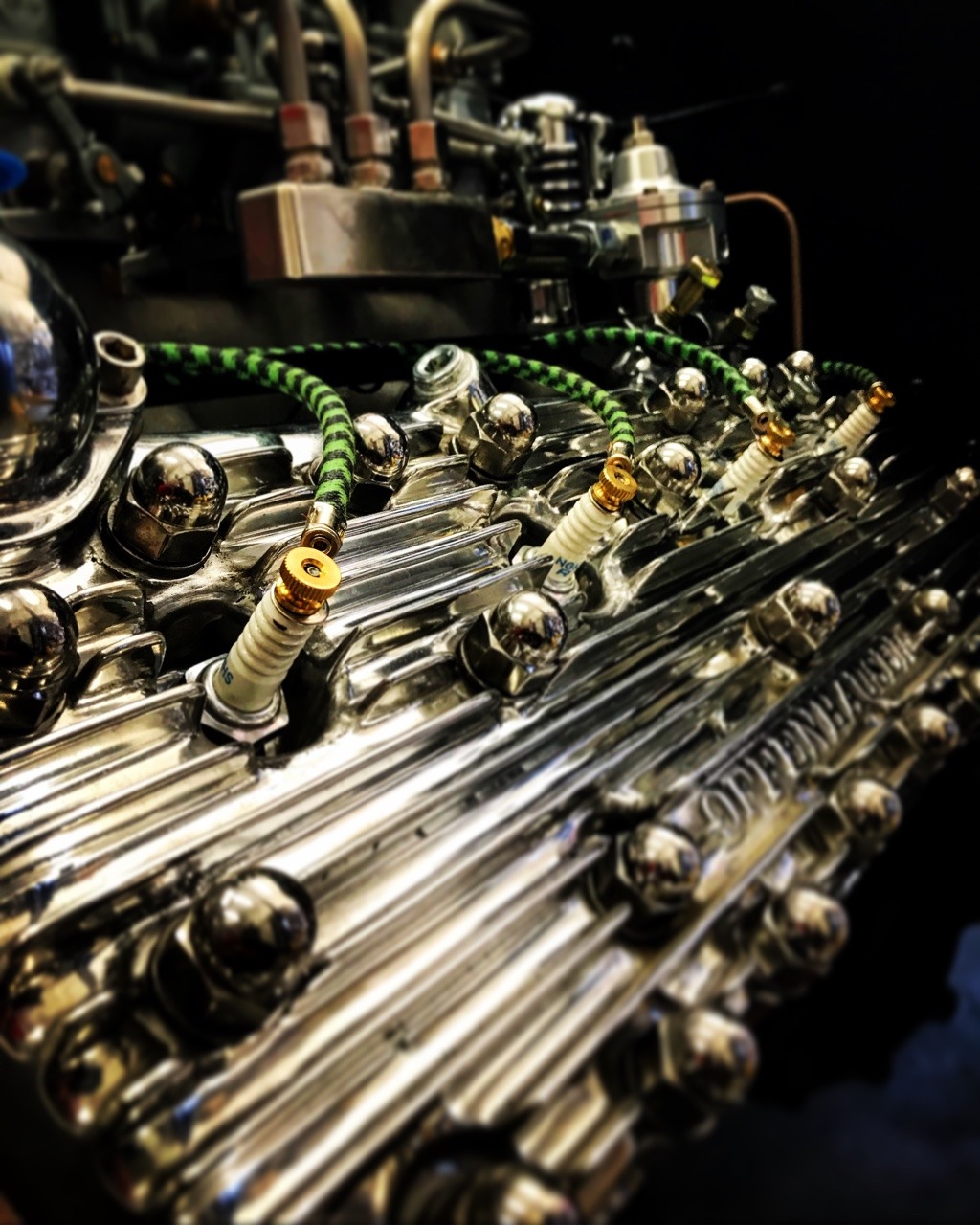 spiral70: Flathead