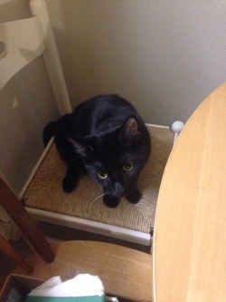unflatteringcatselfies:  Batman has the ability to go from innocent baby-face to