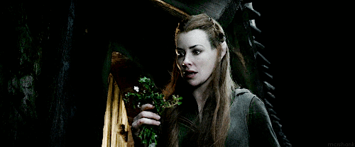 Tauriel ❧ Daughter of the Forest 315e330bd3cd692f6d657440e68babe27773e02c
