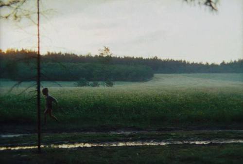 annastrophe:Andrei Tarkovsky’s ‘Mirror’ ( The Mirror / Zerkalo) , 1975