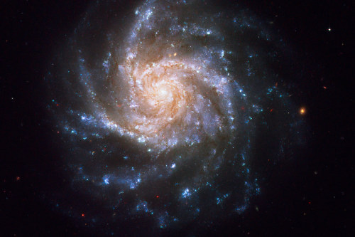 space-pics:Spiral Galaxy NGC 1376 by Hubble Heritage