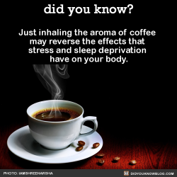 did-you-kno:  Just inhaling the aroma of coffee may reverse the effects that stress and sleep deprivation have on your body.  Source