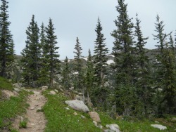 sleep-garden:  Colorado Trail Segment 9 