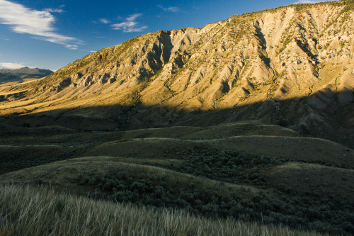 Yellowstone, Wyoming.