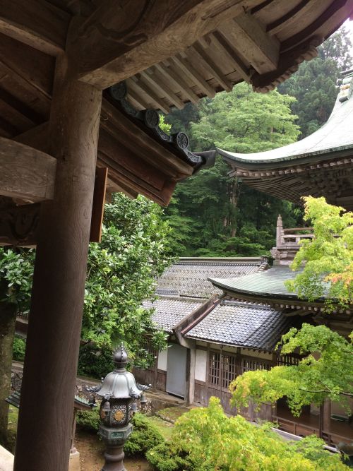 fromthefloatingworld:永平寺 my photo