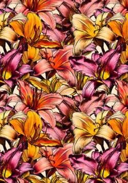 wildsunshine:  society6.com/product/daylily-drama-a-floral-illustration-pattern_print