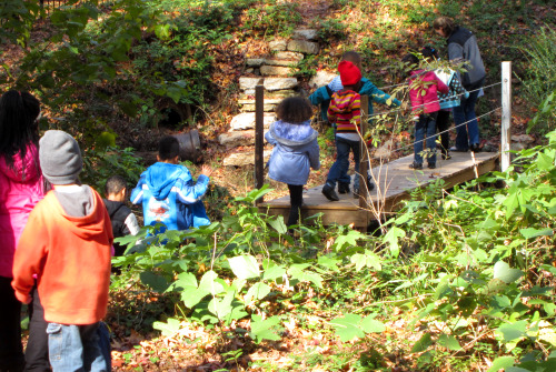 kihaku-gato:plantyhamchuk:Kirkwood Urban Forest - Goats and Schoolchildren - late 2012Our old commun