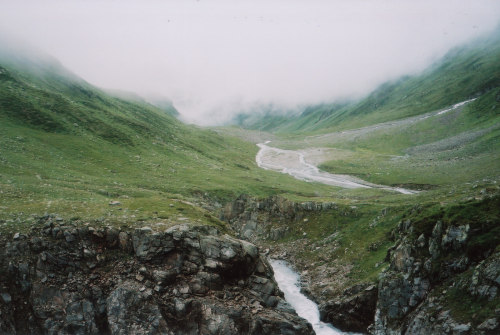 foxmouth:  Austria, 2014 | by Ingeborg Klarenberg