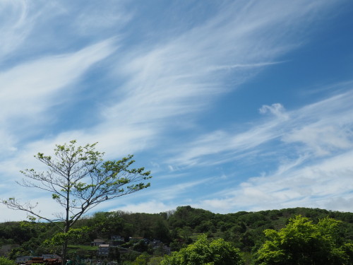 雲。