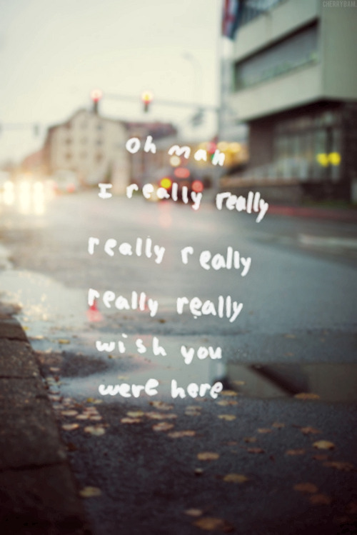 thelovenotebook:  EVERYTHING <3 