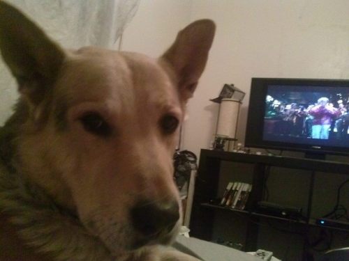 My best bud and I watching a movie.