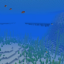 deep-lukewarm-ocean
