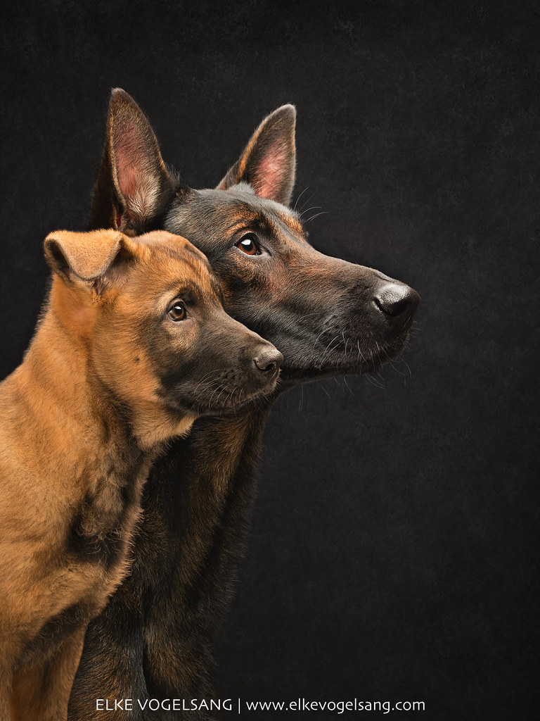 Father and son by Wieselblitz 