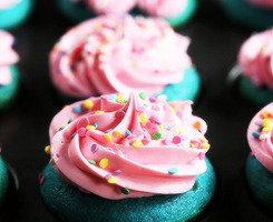 CUPCAKES!