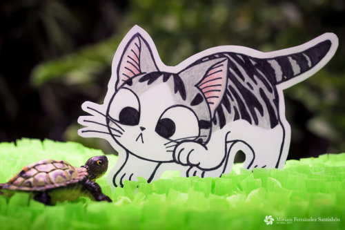 cat-parlour:  Chi's sweet adventures ♡ 