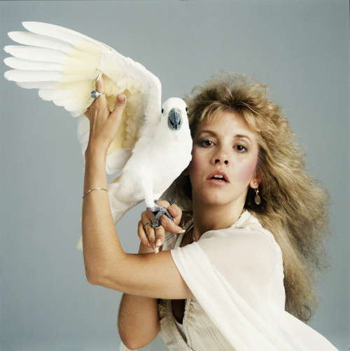 Stevie photographed by Annie Leibovitz for the cover of Rolling Stone - 1981.