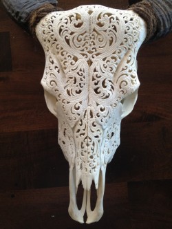 limmynem:  Holy Cow! (get it?)  Amazing Hand carved Skulls by s2k4 