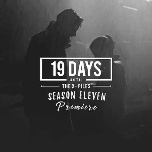 12/15/17 -  [Scully laughs, finding everything ludicrous but believing it. Mulder smiles.] - Th