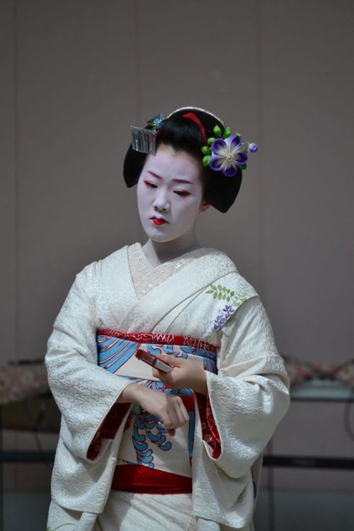 This coordinate owned by Tomikiku okiya (Gion Higashi) is for senior maiko and has been worn by Tomi