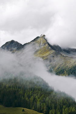 renamonkalou:  Foggy mountain morning | Alexander