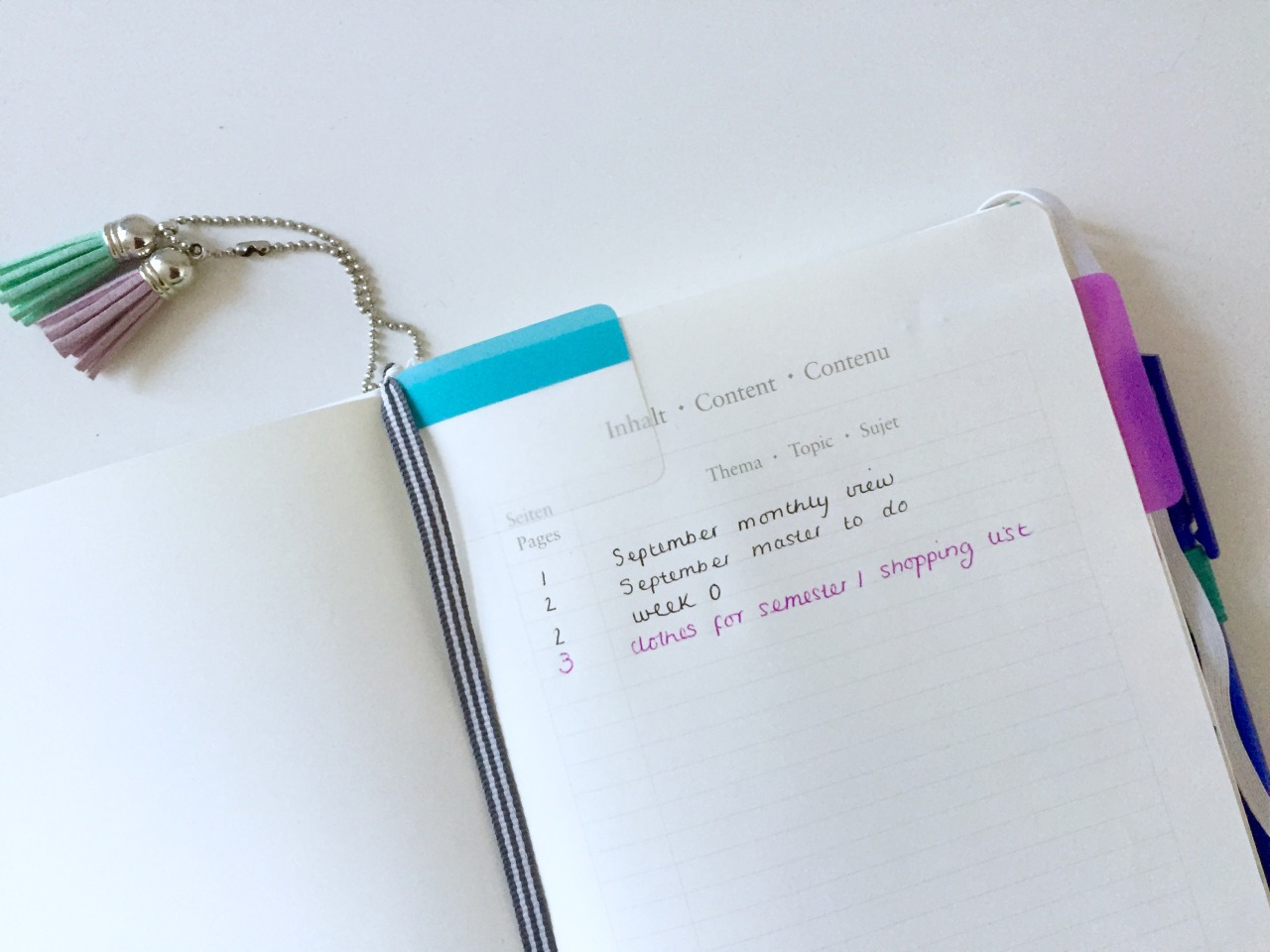 Determined to Succeed Bullet Journal Explanation