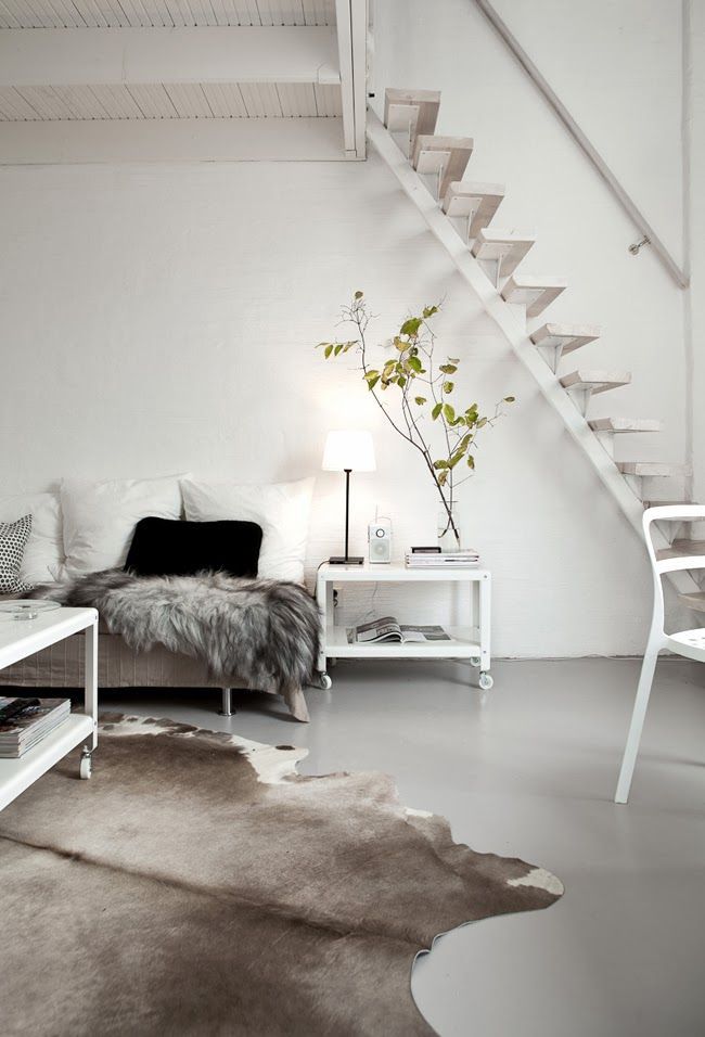 koastahl:  ✰ fresh ♡ modern ♡ neon ✰ 