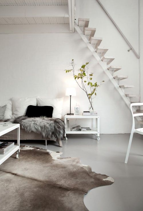 koastahl:  ✰ fresh ♡ modern ♡ neon ✰ 