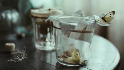 Bright Star, Jane Campion, 2009 With Ben Wishaw, Abbie Cornish, Paul Schneider