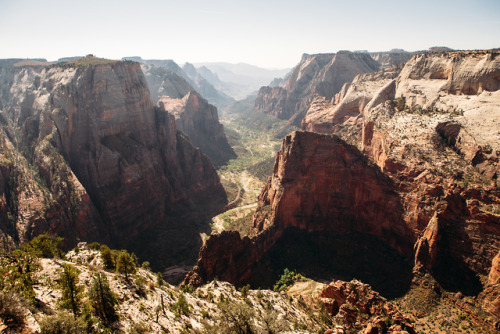 christophermfowler:Observation Point | Zion National Park | October 2017