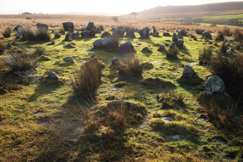 Yellowmead Stone Circles, Dartmoor, 29.12.17.This highly unusual Bronze Age site features a series o