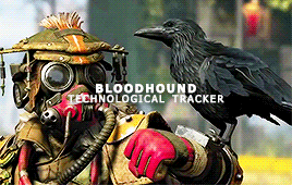 ladyennefers:from the ashes of war, legends are bornthe playable characters of apex legends