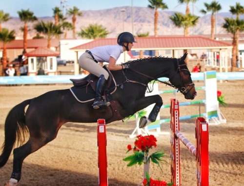 gt194 - Kayley Cuoco & Escarlata in the 1.30 JR/ AM jumpers