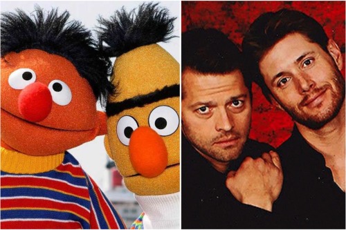 destielette:  “There are two things I know for certain: one, Bert and Ernie are gay” . . . . Credits : photo op 1 Photo op 2 photo op 3 Gifs : @mishasminions