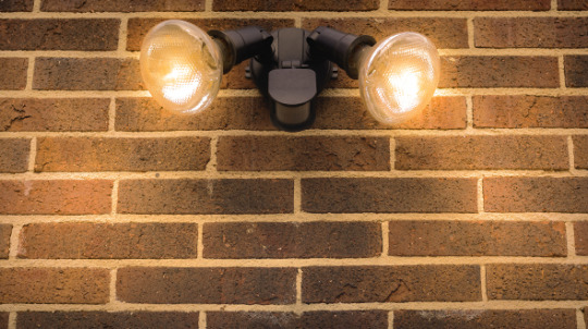 Landscape lighting can be placed in areas that need to be lit for security
