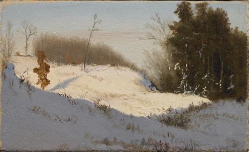 Jervis McEntee (American; 1828–1891)Winter Sunshine Oil on canvas, n.d. Princeton University Art Mus