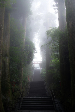 abiotic:  Hakone, Kanagawa, Japan 