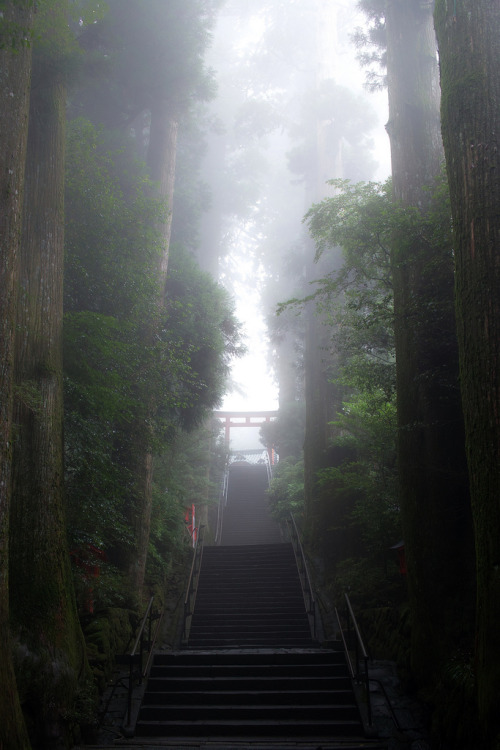 etherealvistas:Hakone shrine #4 (Japan) by nipomen2 