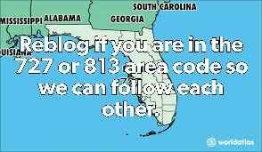 ripperraisin: lightskinbigdick: tampajb: fuzzyduck09: 813  Tampa 813 813 brandon  813 Seffner Wesley