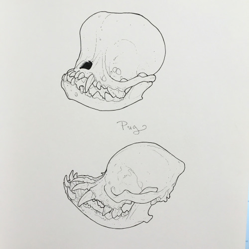 Easing back into drawing again with some good ol’ alien pug skulls.