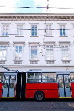 redjade: Budapest Hungary District V, Podmaniczky Frigyes térNovember 2017 » https://www.facebook.com/DzsediFenykepesz 