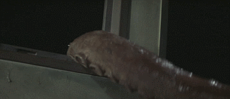 The lone crewmember of a marine vessel is attacked by a colossal cephalopod, only for the creature t