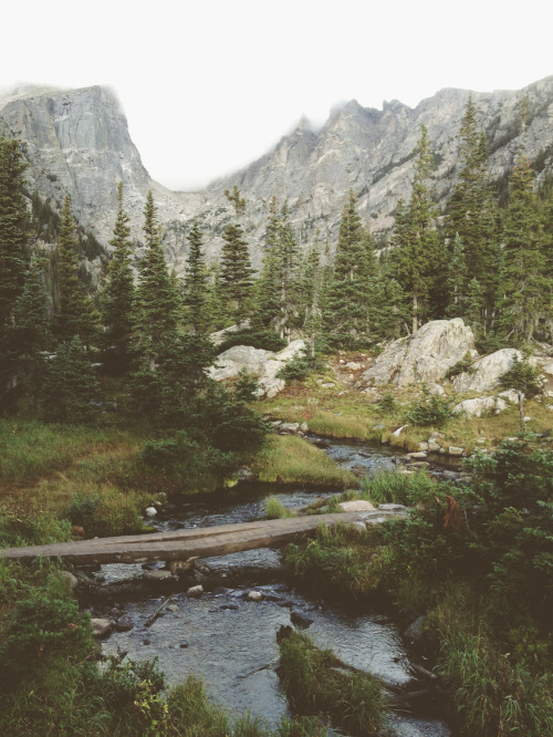 Sex expressions-of-nature:Photography by : Kevin pictures