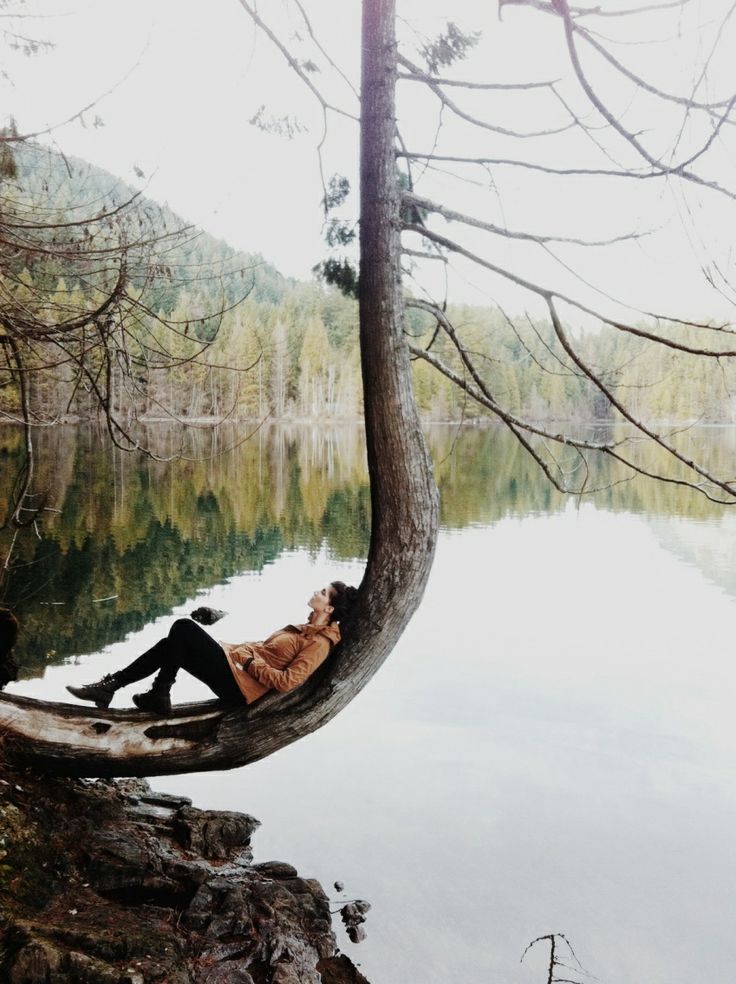 Inside A Fractious Mind