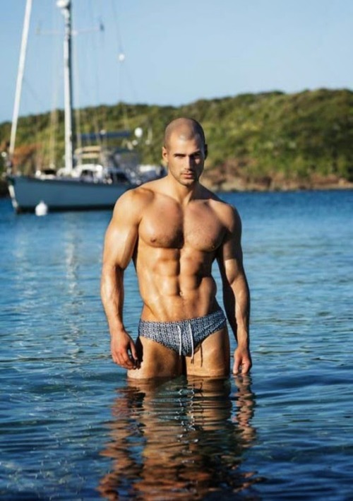 Dedicated Follower of Bulges