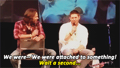novaks:  #pray4jensen