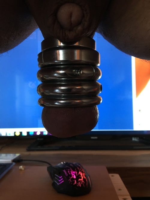 mysticgaycumshot: my new rings on my balls! i love the steel!