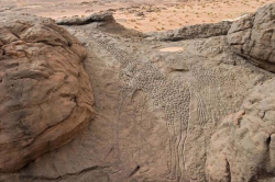 sixpenceee:  10,000 year-old rock engravings of giraffes in the Sahara Desert in Niger. That time frame is just about right for what is known as the “Cattle Period” during which the Sahara was fertile grassland.