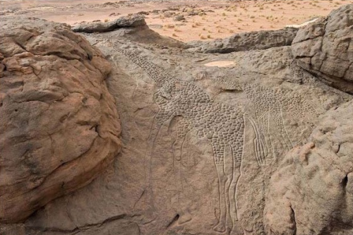 sixpenceee:10,000 year-old rock engravings of giraffes in the Sahara Desert in Niger. That time fram